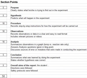 rate-lab-rubric